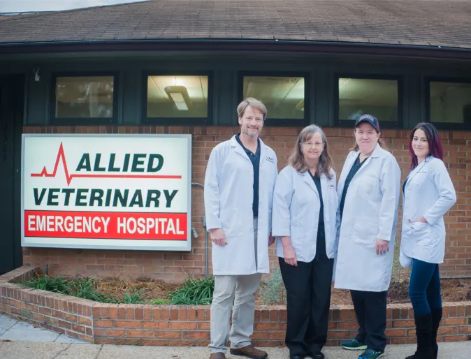Veterinarians standing outside of Allied Emergency Veterinary Service